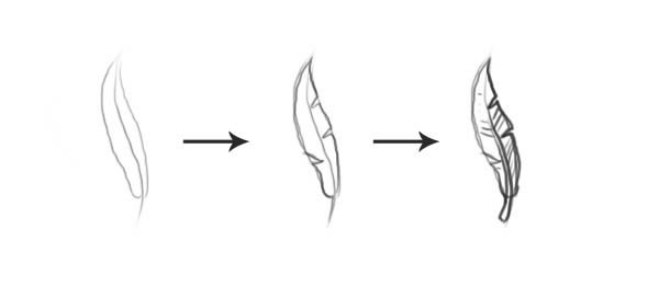 Перышко вороны