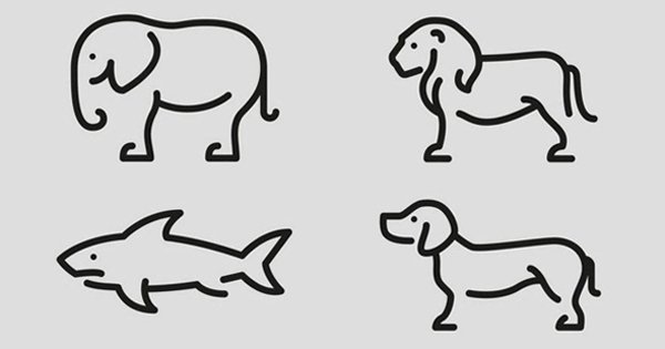 Схематичное изображение животных