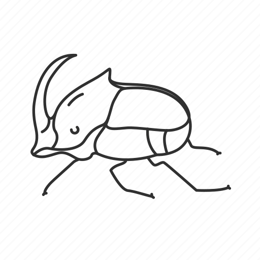 Жук носорог поэтапное рисование