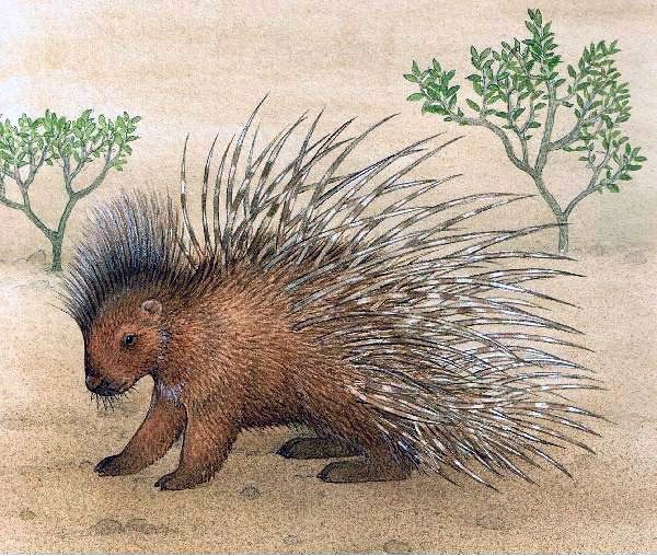 Доисторический еж