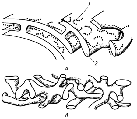 Шероховатая ЭПС схема
