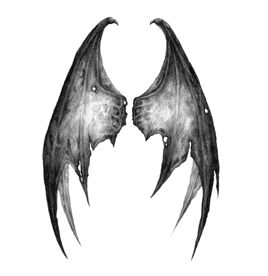 Сломанное крыло летучей