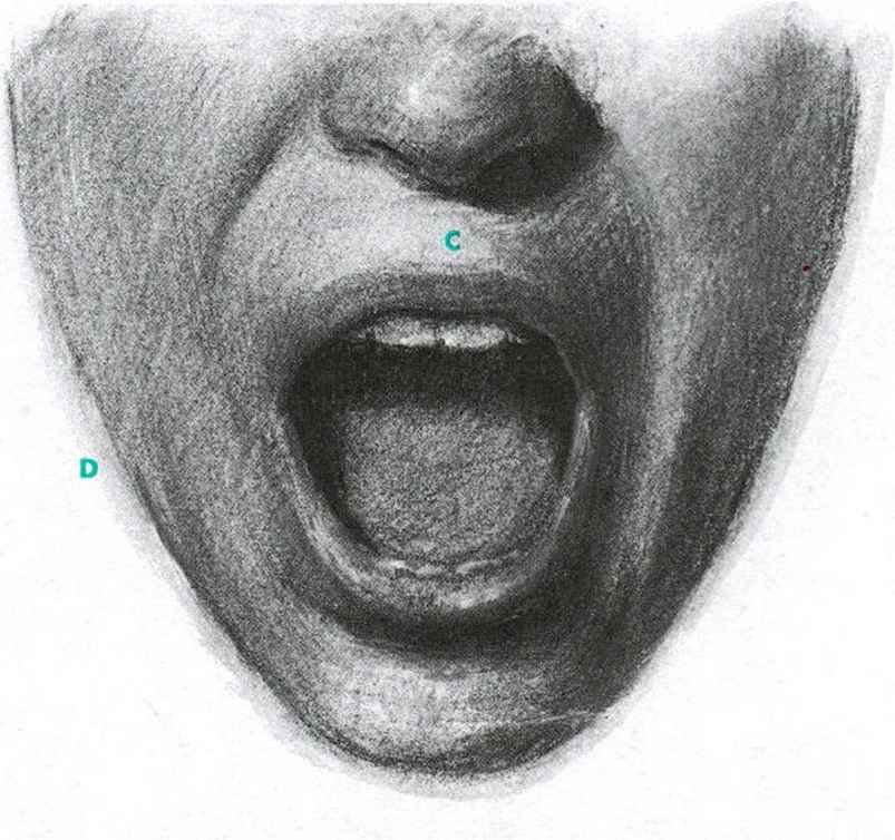 Открой рот видела. Изображение рта. Рисунок открытого рта. Зарисовки открытого рта. Нарисованный рот.