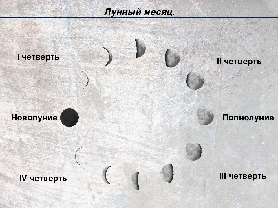 Луна месяц предложение. Фазы Луны. Лунный календарь схема. Фазы Луны новолуние. Растущая Луна схема.
