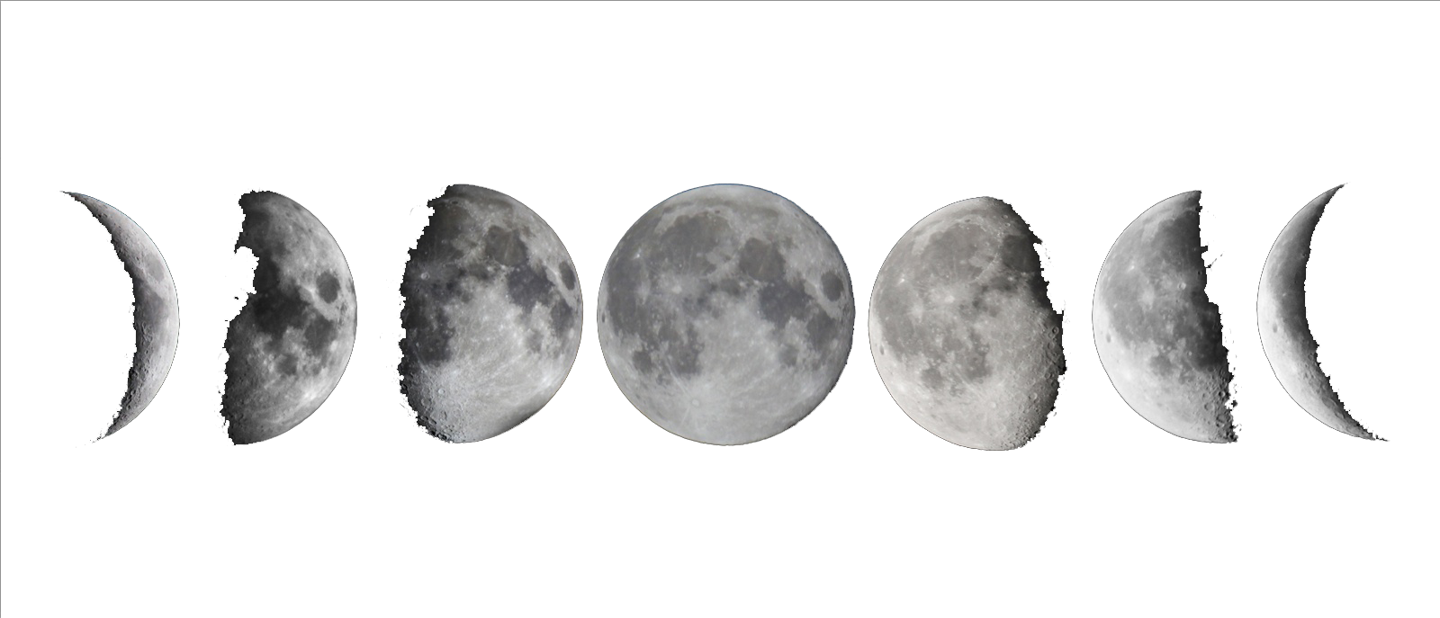 Moon shapes. Луна на прозрачном фоне. Луна рисунок. Лунные фазы. Луна на белом фоне.