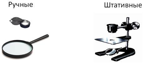 Увеличительные приборы 5 класс биология микроскоп