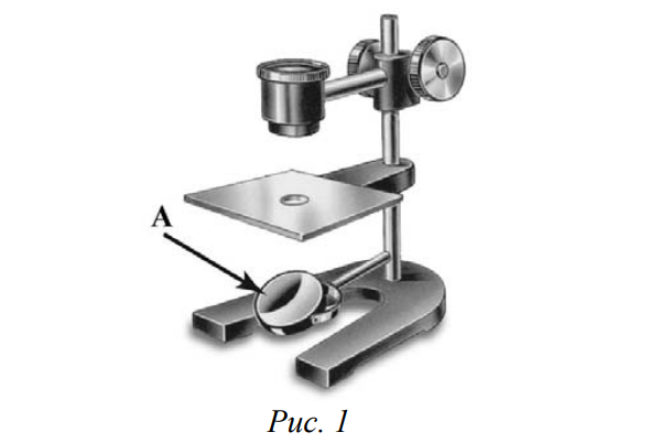 Увеличительные приборы 5 класс биология лупа