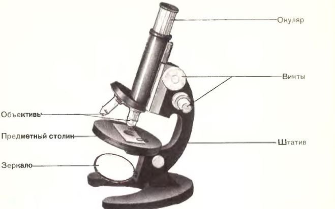 Цифровой микроскоп строение с подписями и названиями. Увеличительные приборы микроскоп биология. Цифровой микроскоп части микроскопа биология 5. Цифровой микроскоп части микроскопа 5 класс. Цифровой микроскоп строение.