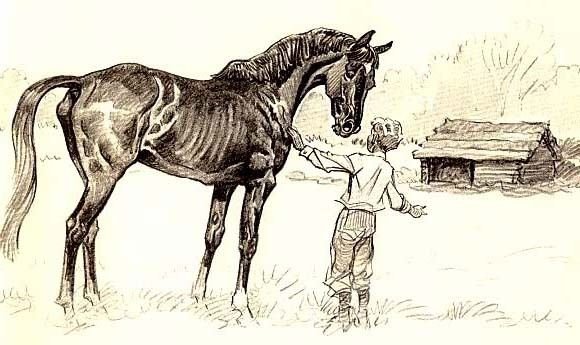 Раскраска лошадьс жербёнком