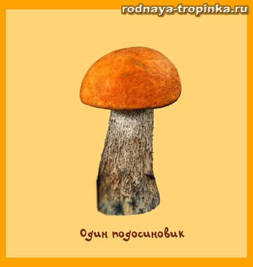 Гриб подосиновик рисунок для детей