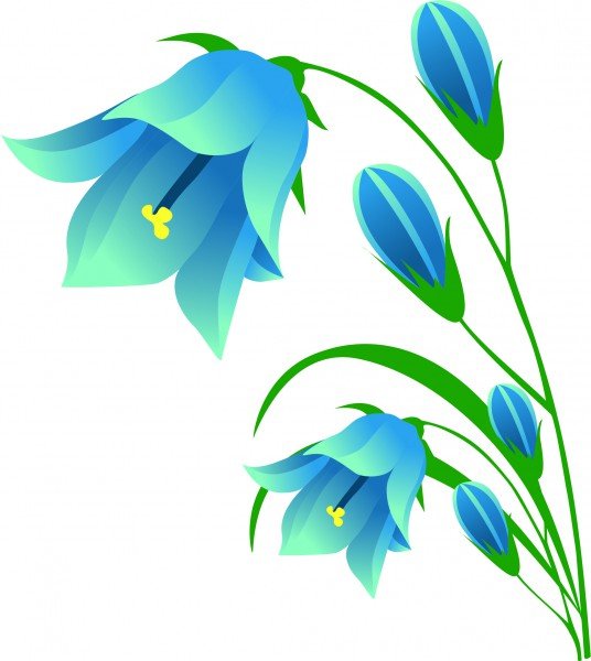 Колокольчики акварелью