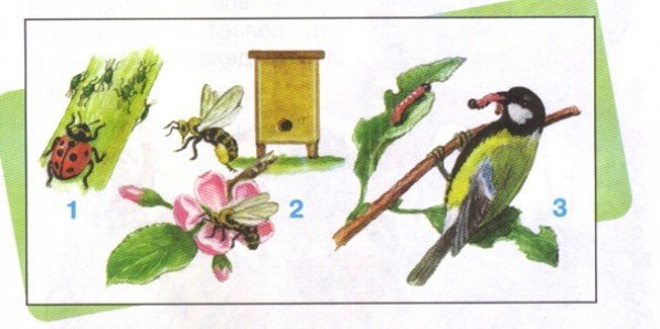 Невидимые нити в весеннем лесу