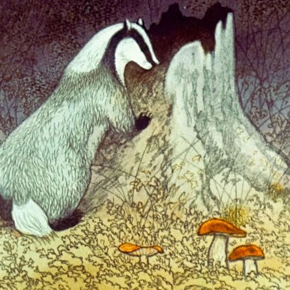 Паустовский барсучий нос иллюстрации