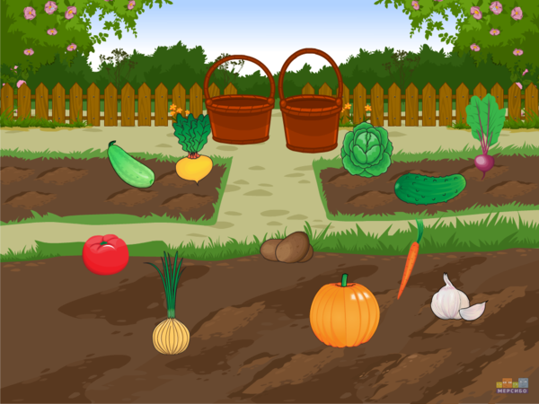 Огород для детей