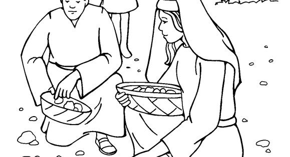 Манна рисунки