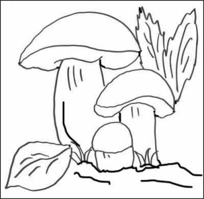 Раскраска осенний лес с грибами