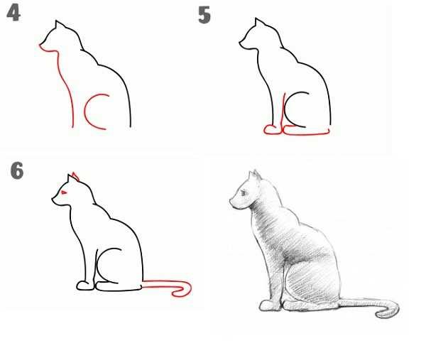 Как нарисовать кошку вид сбоку