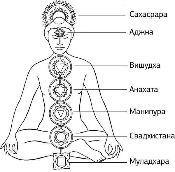 Анахата Муладхара чакра человека