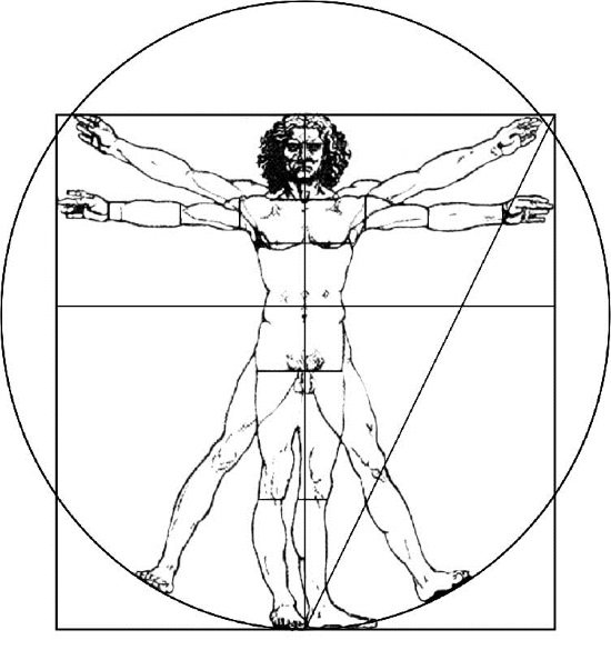 Рисунки Леонардо золотое сечение