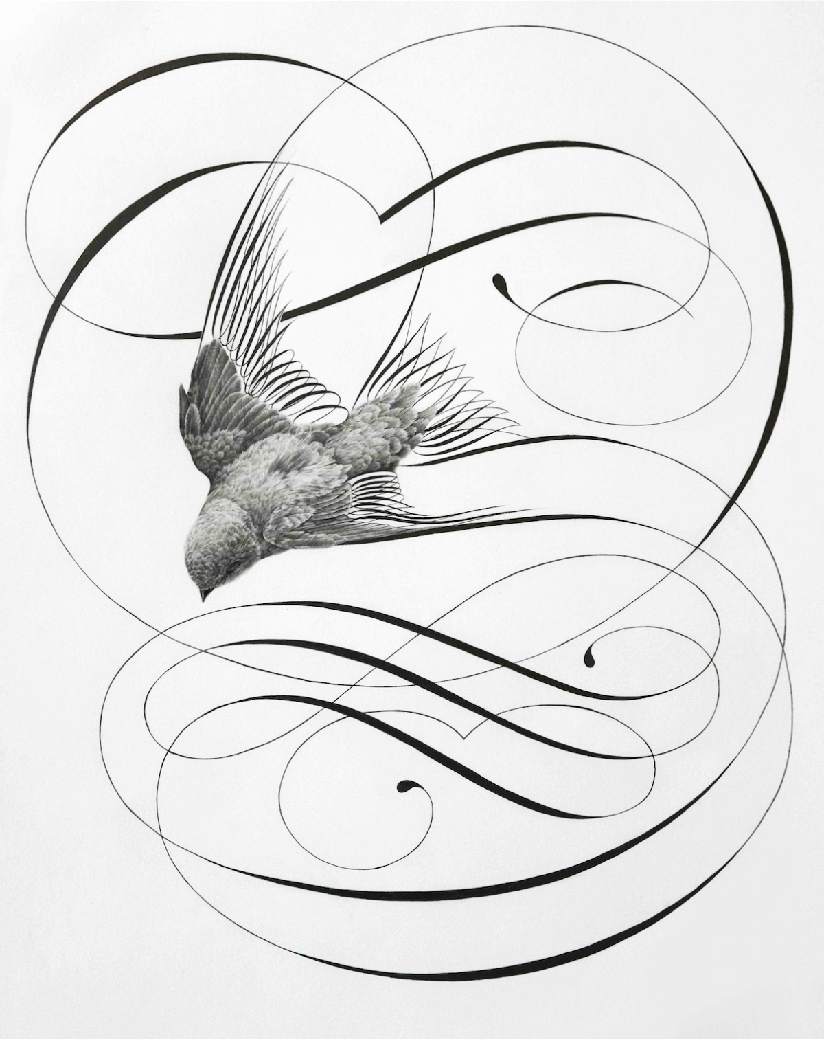 Jake Weidmann каллиграфия. Каллиграфическая р. Каллиграфическое рисование. Каллиграфия птицы. Рисование каллиграфией