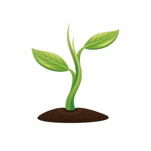 Росточек без фона