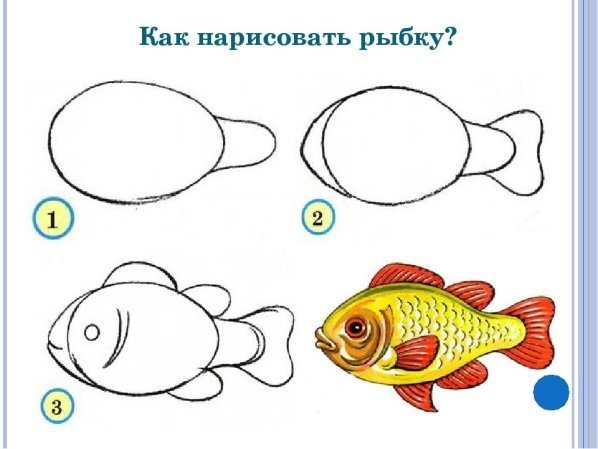 Алгоритм рисования рыбки
