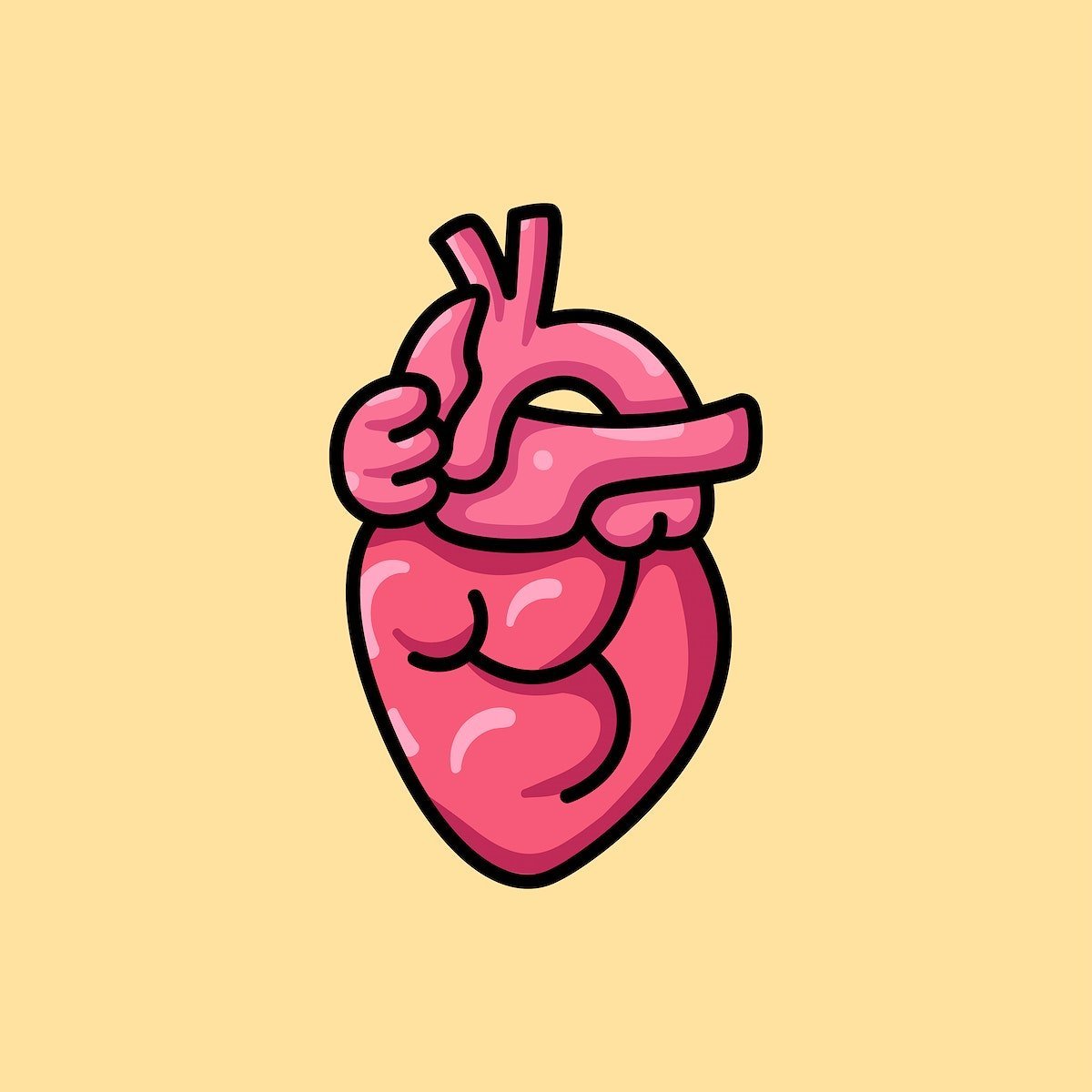 Анатомическое сердце Минимализм