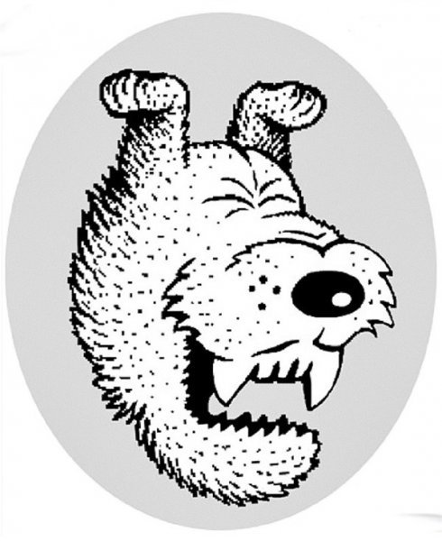 Иллюзии перевертыши