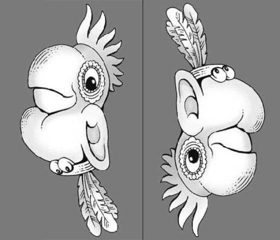 Два рисунка в одном