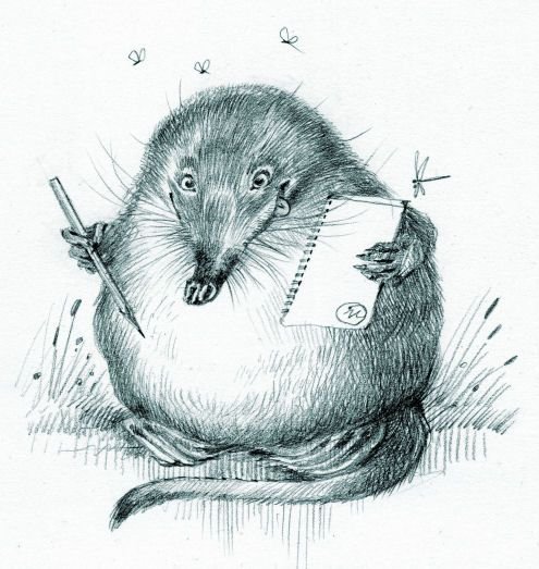 Выхухоль стикер ВК