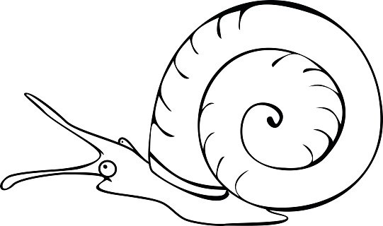 Улитка катушка раскраска