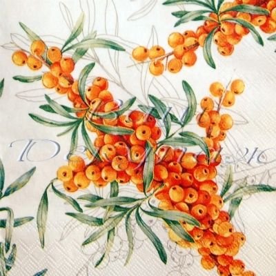 Облепиха папоротник