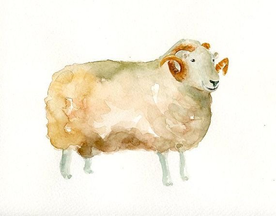 Барашек акварелью для детей