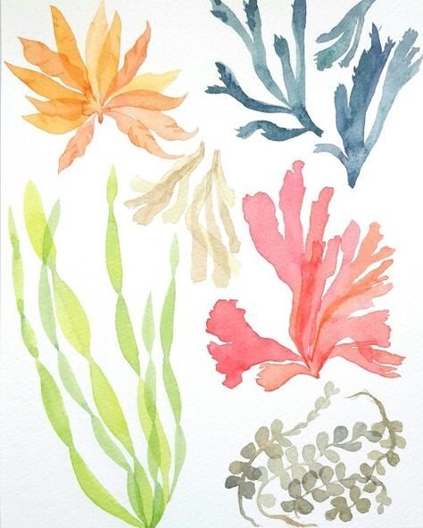 Растения подводные акварель