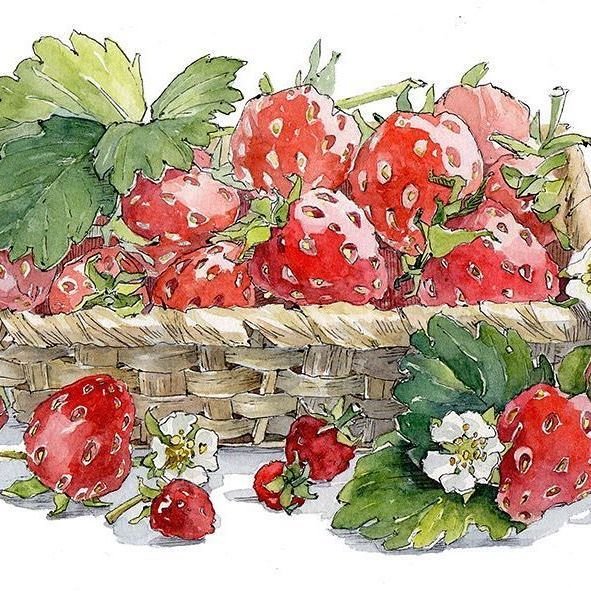 Лена Крымина акварель