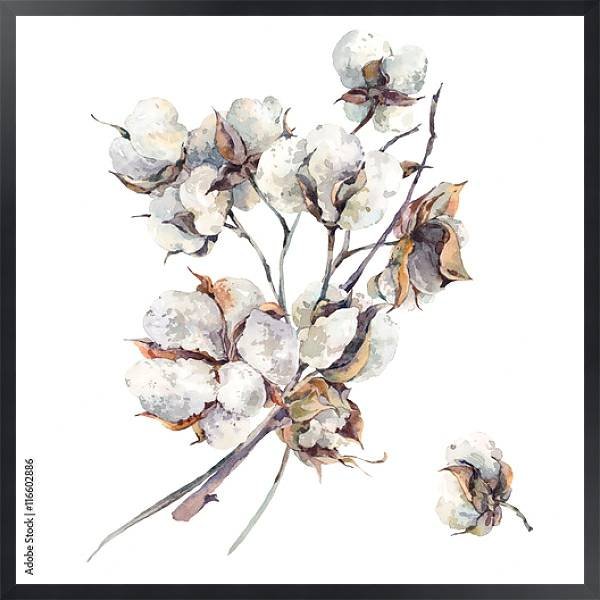 Сухоцветы акварель