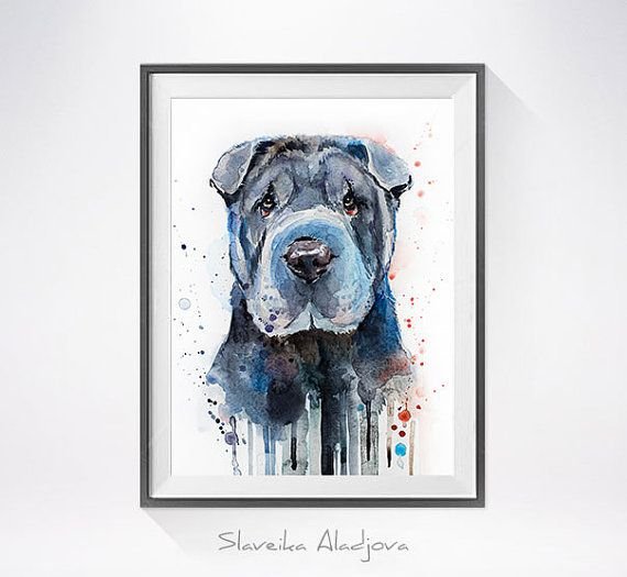 Шарпей эскиз