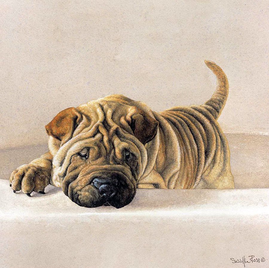 Американская художница SUEELLEN Ross собаки