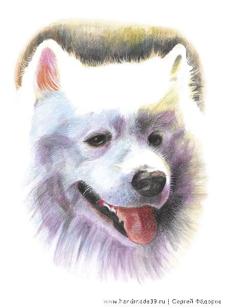 Самоед акварелью