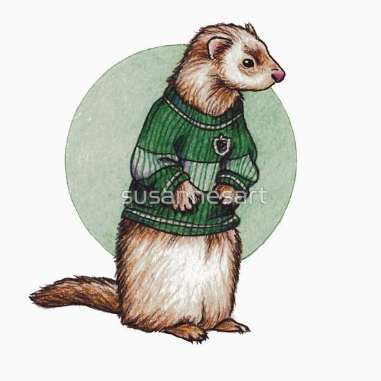 Драко Малфой хорек арт