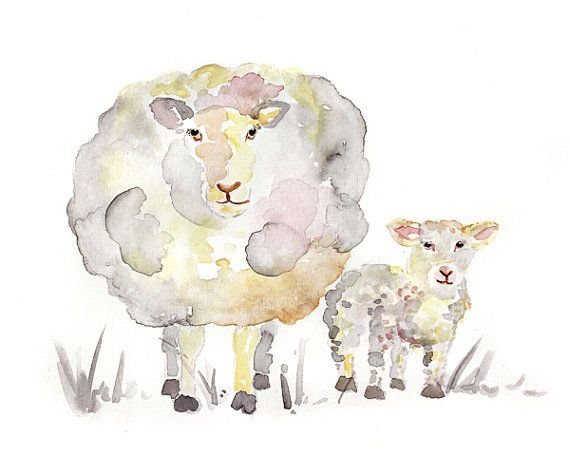 Ягнята живопись акварель