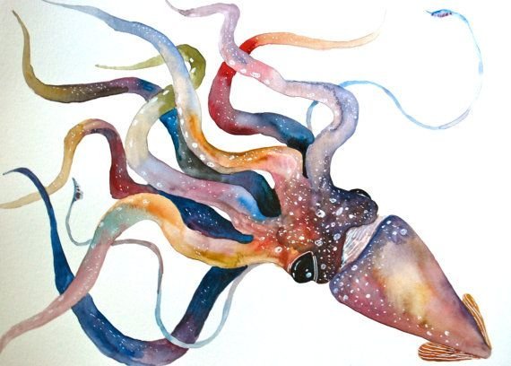 Кальмар живопись акварель