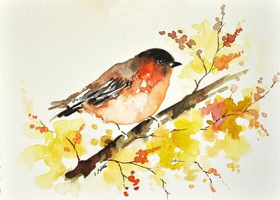 Малиновка акварель масло осень