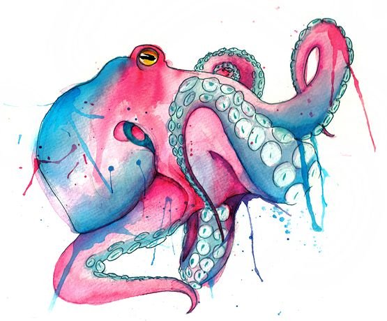 Тату осьминог акварель