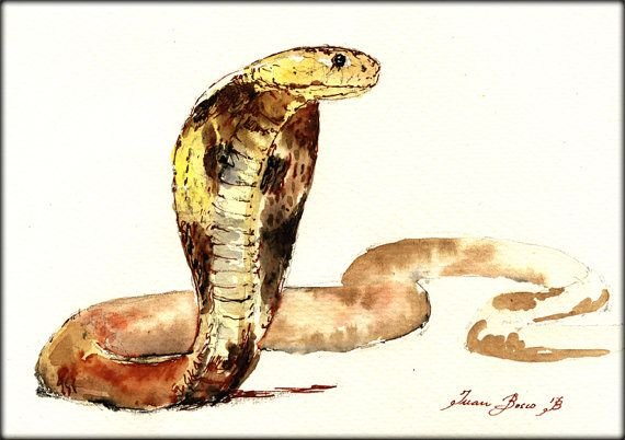 Змея рисунок акварелью