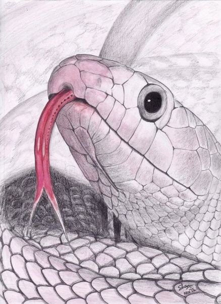 Змея акварелью