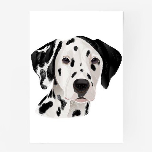 Грабаря картины далматинец