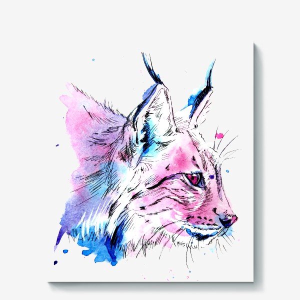 Рысь рисунок акварелью