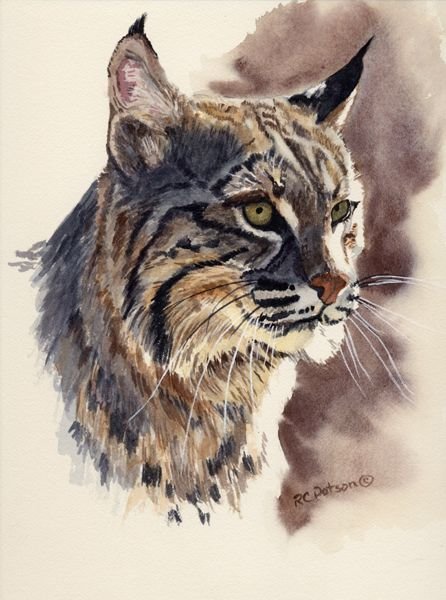 Тату Рысь акварель