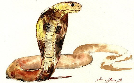 Змея акварелью